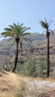 GC-Fataga 2026-118.jpg